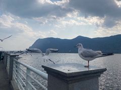 -海埂大坝