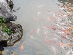 -玉女潭景区