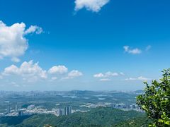 -阳台山森林公园