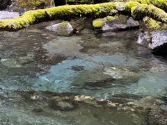 -叠溪松坪沟景区
