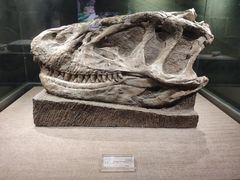 -自贡恐龙博物馆