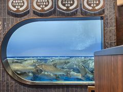 -渔惑·中山脆肉鲩火锅(仁恒梦店)