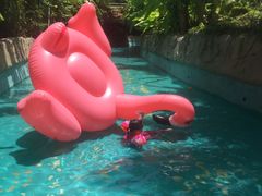 -亚马逊丛林水乐园