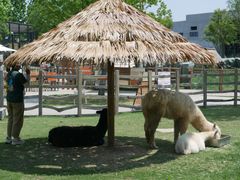 -祥源·阜阳生态乐园