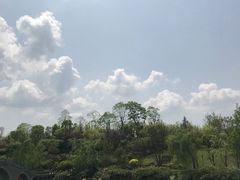 -两江国际影视城
