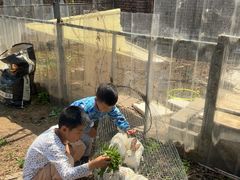 -大自然农场蔬菜草莓采摘园