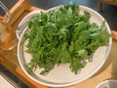 -烹然四季椰子鸡火锅(姚家园万象汇店)