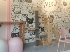 -喵匠猫主题咖啡(凯德和平广场店)