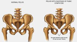 -芊尔美依产后修复中心(朝阳大悦城店)