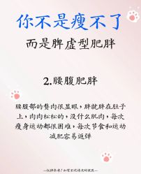 -Fundi张玉珊修身堂·indiba·BTL科技瘦身