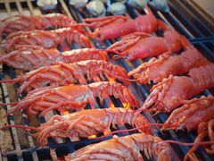 -亚龙湾希尔顿自助餐厅·海鲜·烧烤·沙滩BBQ·现场乐队