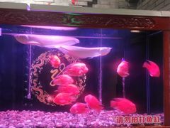 -明州小宴(文化广场店)