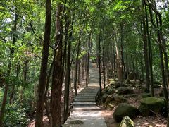 -火炉山森林公园