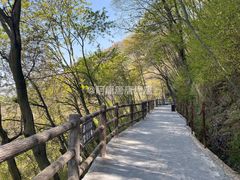 -少华山国家森林公园