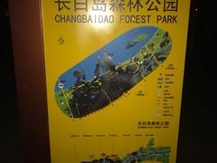 -长白岛森林公园