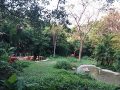 -深圳野生动物园