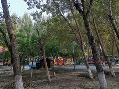 -长白岛森林公园