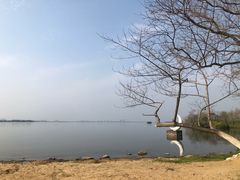 -瑶湖郊野森林公园