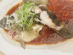 -喜来登由由大酒店九州膳坊中餐厅