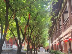 -西安青龙寺遗址景区