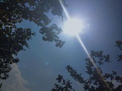 -侯臣咖啡文化村