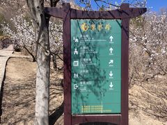 -北京凤凰岭