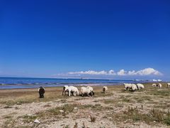 -青海湖国家重点风景名胜区