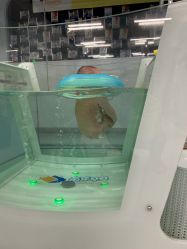 -沫奇婴幼儿水育馆(青山湖万达店)