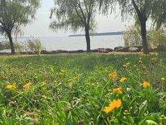 -苏州湾体育公园