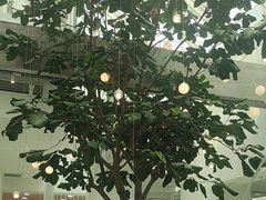 -大树餐厅(红旗街万达店)