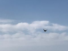 -北京鹫峰国家森林公园