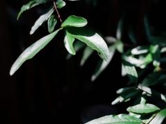 -行人小筑·茶馆(岑村火炉山分店)