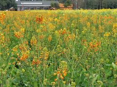 -中国天府农业博览园