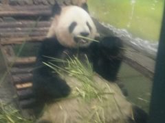 -无锡动物园·太湖欢乐园