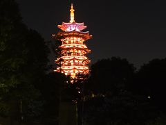 -洋湖国家湿地公园