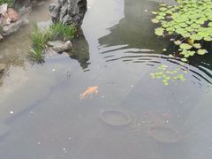 -龟山风景区-龟山电视塔