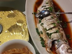 -金美华轩(东方路齐鲁店)