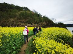 -新安江山水画廊风景区