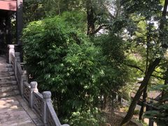 -阳明祠