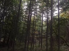 -洛阳白云山景区