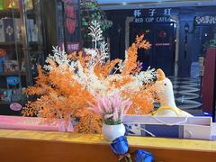 -杯子红牛排(西樵店)