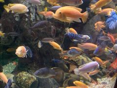 -太平洋海底世界