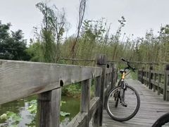 -白鹭湾湿地公园