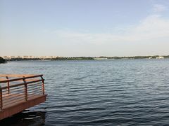 -丁香湖公园