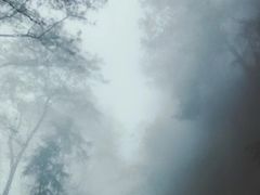 -重庆雨台山风景区