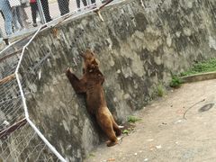 -无锡动物园·太湖欢乐园