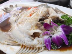 清蒸多宝鱼-渔家乐小海鲜(皇姑店)
