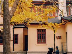 -中山公园