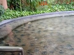 -碧水湾温泉