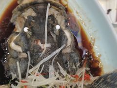 -鹊华居·地道鲁菜·海鲜·融合味(大明湖店)